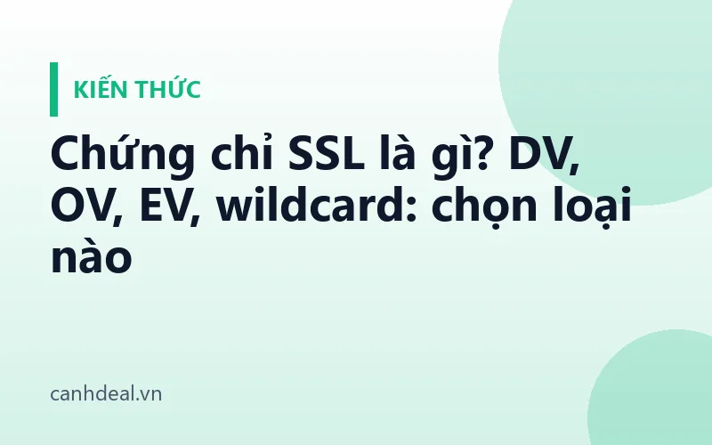 Chứng chỉ SSL là gì? DV, OV, EV, wildcard: chọn loại nào
