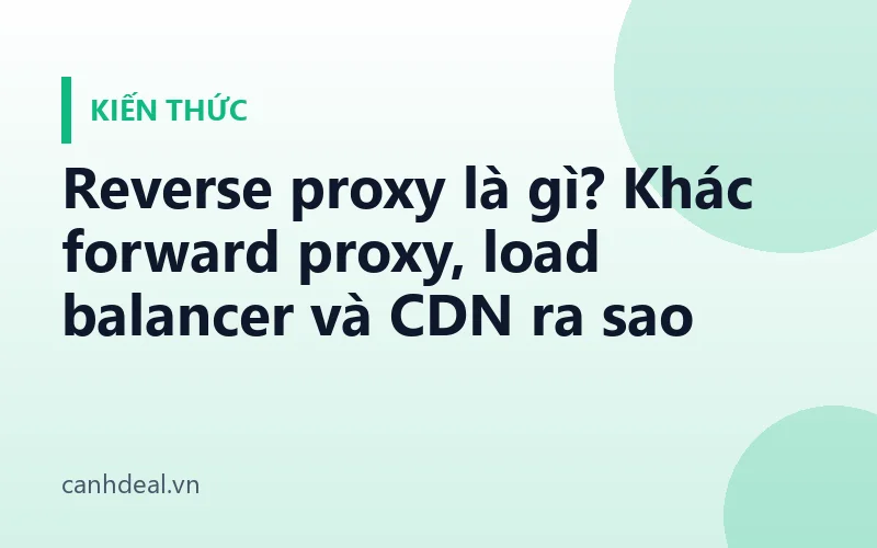 Reverse proxy là gì? Khác forward proxy, load balancer và CDN ra sao